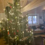 Feriehus Log With Modern Solutions *