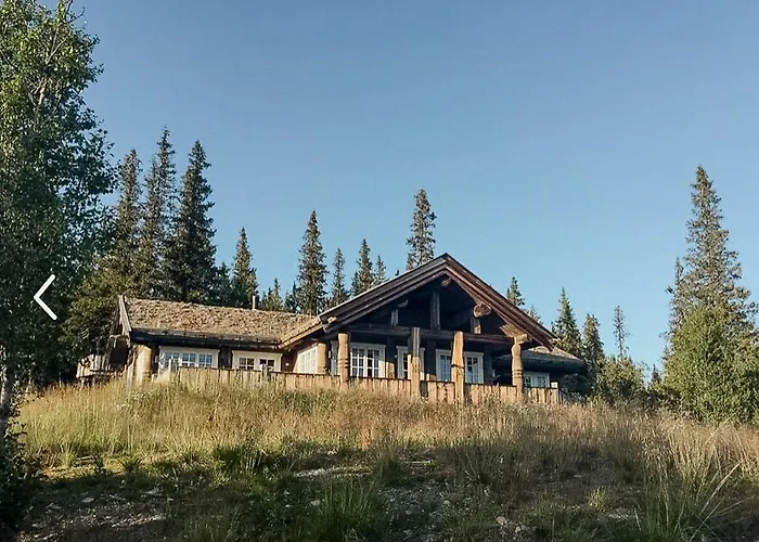 Log With Modern Solutions Uvdal