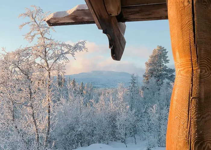 Feriehus Log With Modern Solutions *